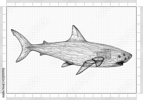 White Shark Architect Blueprint 
