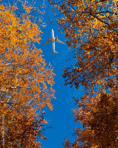 Airplane is flying over low clouds and mountains with autumn forest. Amazing landscape with passenger airplane, trees, mountains, blue cloudy sky. Passenger aircraft. Business travel. Commercial plane