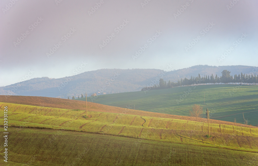 Obraz premium Campi tra la nebbia