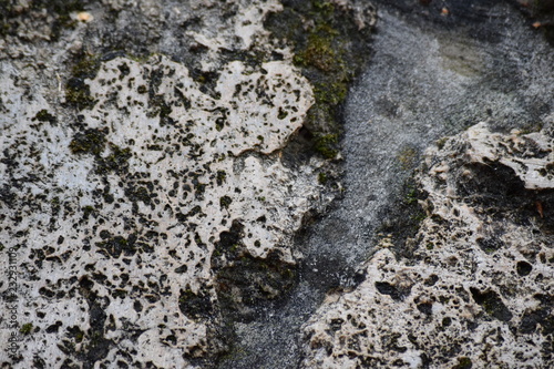 the surface of the stone overgrown with green moss