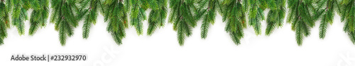 Christmas tree branches on white background as a border or template