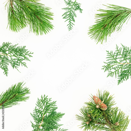 Christmas round frame made of winter tree branches on white background. Festive background. Flat lay, top view