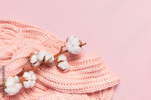 Female pink knitted sweater pullover and branch of cotton on pastel pink background top view flat lay. Fashion Lady Clothes Jumper Autumn winter clothes fashion look Delicate cotton flowers Lifestyle