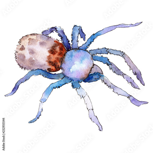 Exotic tarantula wild insect in a watercolor style isolated. For background, texture, wrapper pattern or tattoo.