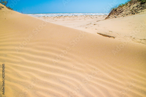 A beautiful soft and fine sandy beach along the gulf coast of Texas in South Padre Island  Texas