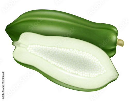 Green papaya. Vector illustration.