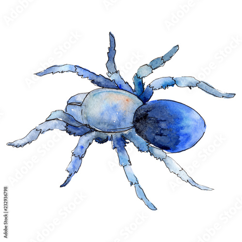 Exotic blue tarantula wild insect in a watercolor style isolated. For background, texture, wrapper pattern or tattoo.