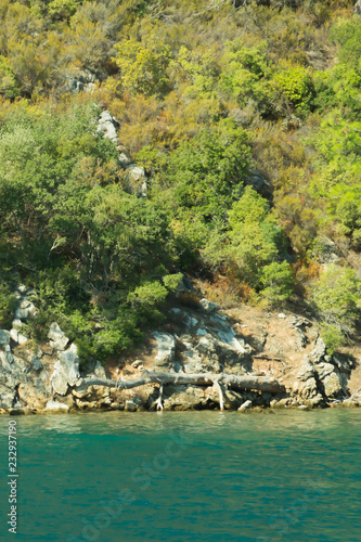 Mountain and sea. coastline with the overgrown rock