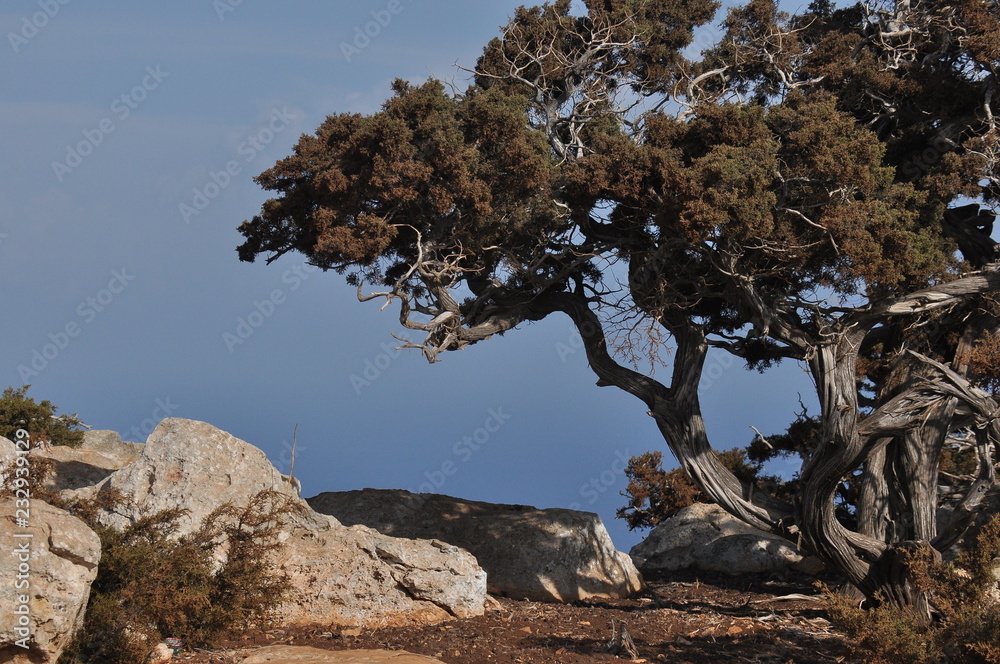 Akamas National Park in Cyprus. View from the mountains to the blue lagoon and the crystal clear water Akamas National Park in Cyprus. View from the mountains to the blue lagoon and the crystal clear water