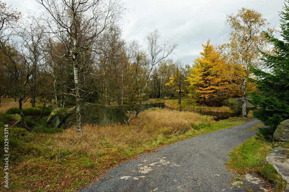 Autumn landscape - all beautifully colored