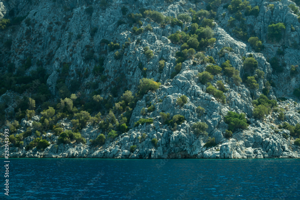 Fototapeta premium Mountain and sea. coastline with the forest and rock background