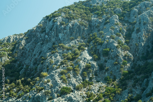 Overgrown mountain background