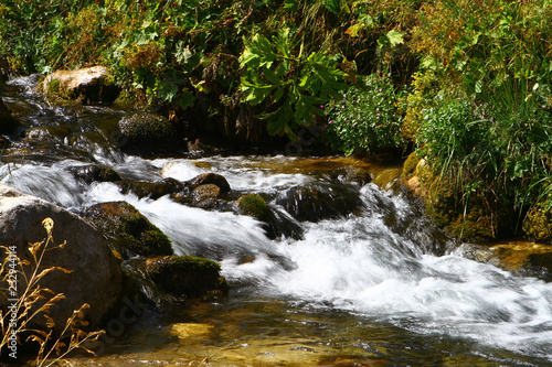 Fototapeta Naklejka Na Ścianę i Meble -  Spring water mountain river and the beautiful stony creek on North Caucasus. mountain natural landscape photo