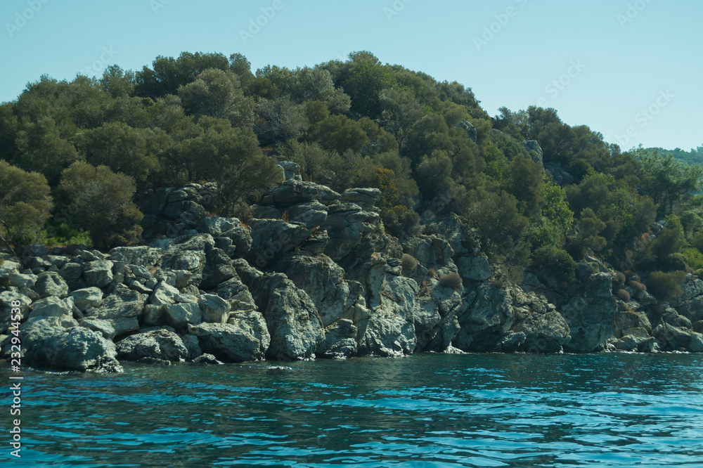 Mountain and sea. coastline with the forest and rock background Mountain and sea. coastline with the forest and rock background