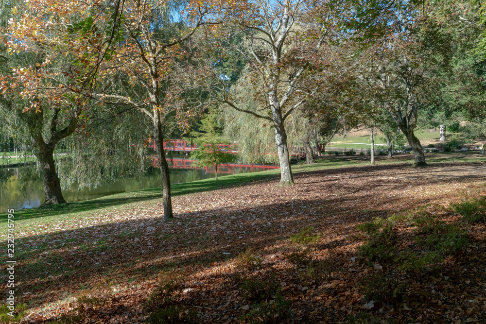 Naklejka premium Autumn Colours