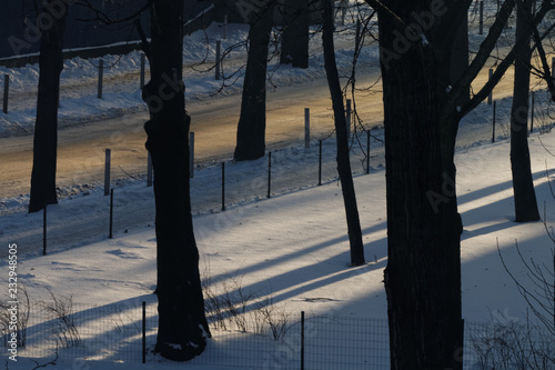 Fototapeta Naklejka Na Ścianę i Meble -  Zima w lesie