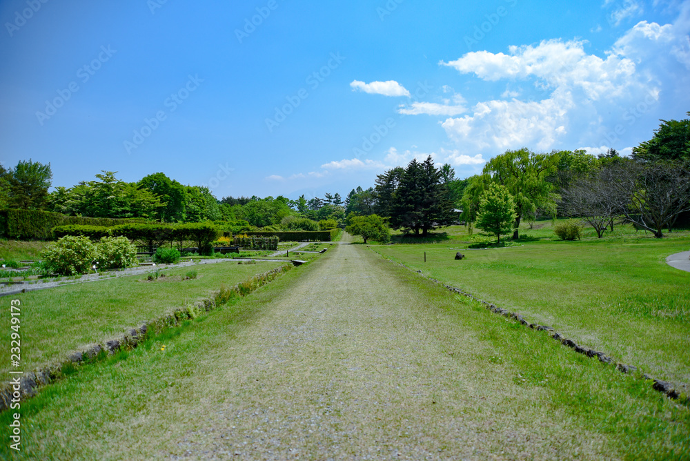 まっすぐに伸びる道