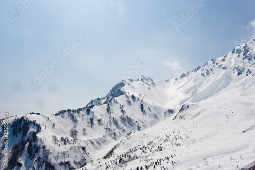 Beautiful scene of Forest in snow mountain in japan, panoramic view of tateyama mount