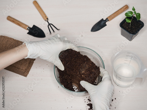 Obraz na płótnie Coconut substrate for soil