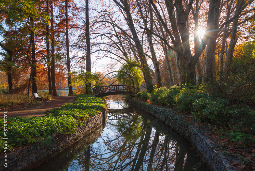 Autumn mood at a small bridge in a park. Parc de la Tete d'Or, Lyon, France. Autumn mood at a small bridge in a park. Parc de la Tete d'Or, Lyon, France.