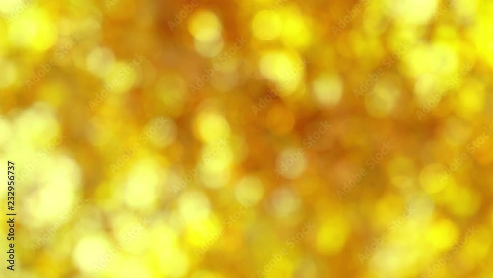 Beautiful golden blur bokeh background of autumn defocused foliage of huge old trees. Real time 4k video footage.