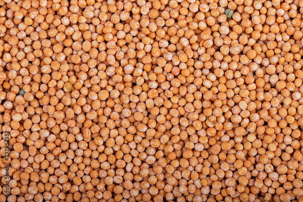 The concept of natural healthy food. Peas closeup The concept of natural healthy food. Peas closeup