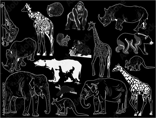 collection of seventeen isolated on black grey animals