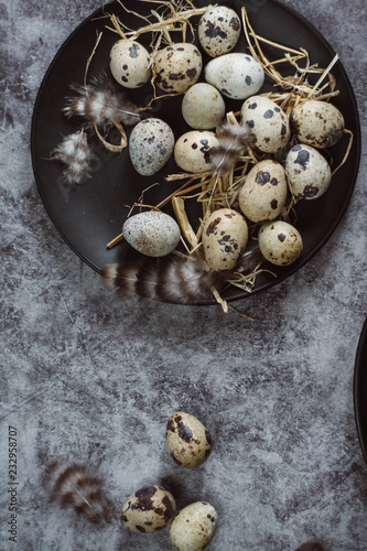 Quail eggs in a black plate. On a gray background. Top view. Copy space