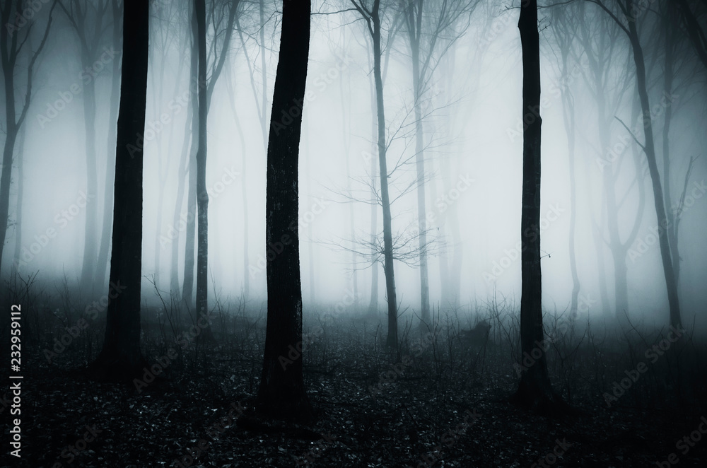 dark scary halloween forest landscape dark scary halloween forest landscape