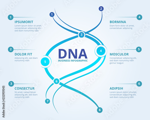 Dna infographics. Spiral human biology structure vector medical scientific concept with place for your text. Illustration of dna chemistry information infographic structure illustration