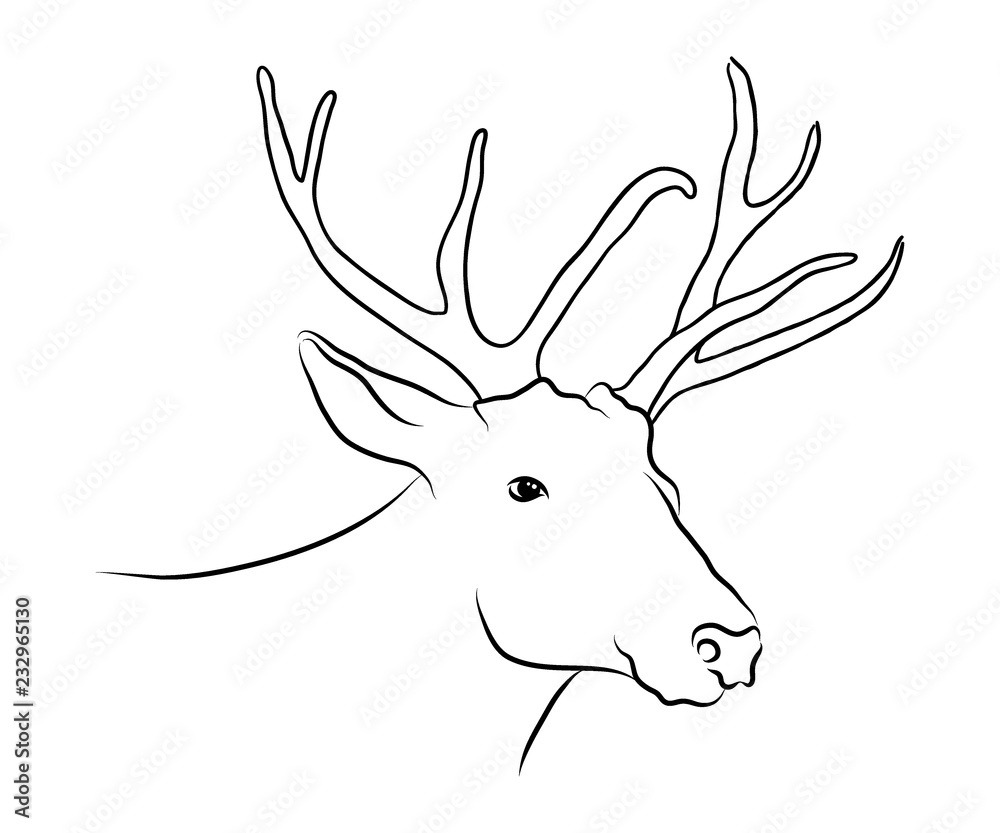 Stag deer head sketch. Head of deer doodle black and white vector graphics drawing.  Wildlife reindeer animal illustration, profile hand drawn beast portrait,  monochrome background. Stock Vector
