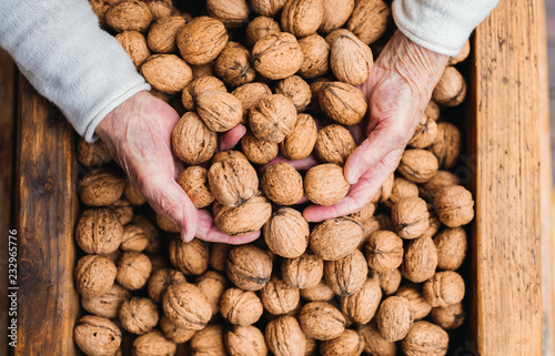 An elderly woman outdoors on a terrace on a sunny day in autumn, holding walnuts.