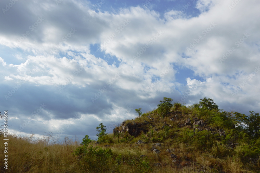 landscape of grass flower field blowing from wind on Khao Lon mountain in Thailand landscape of grass flower field blowing from wind on Khao Lon mountain in Thailand