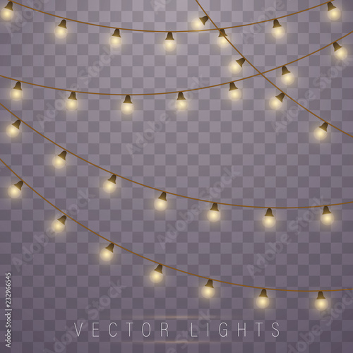 Christmas lights. Vector.