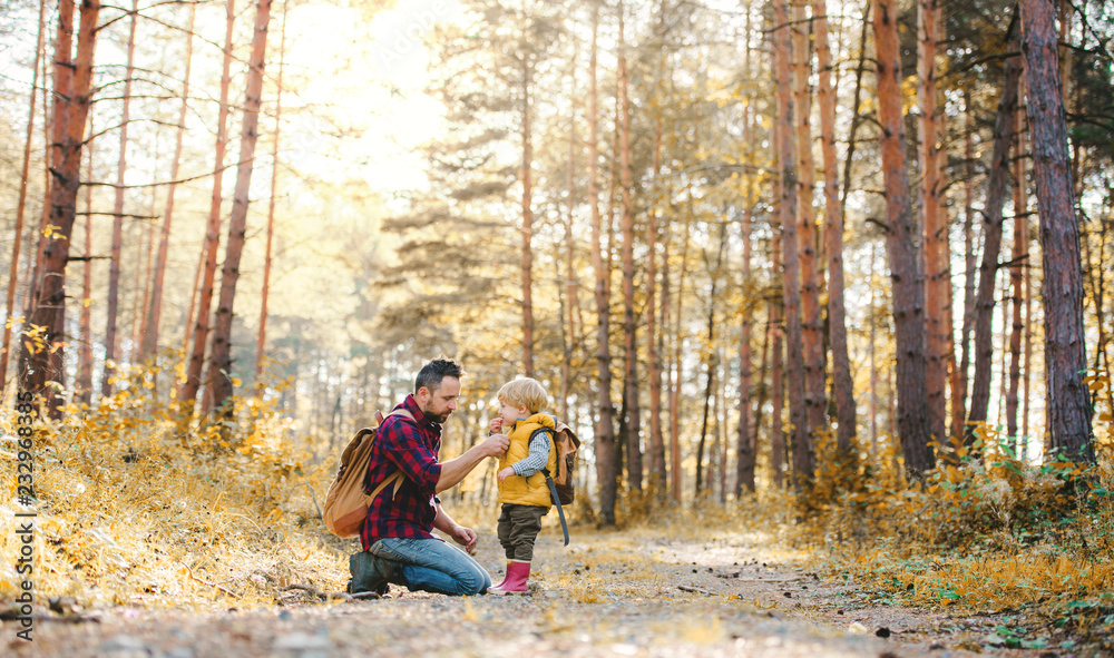 A mature father with backpack and toddler son in an autumn forest. A mature father with backpack and toddler son in an autumn forest.
