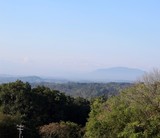A view of the mountains in background over the treetops. 