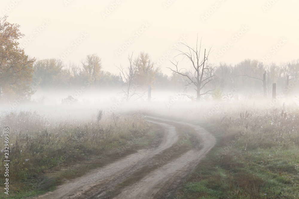 Autumn sunrise in the grove on the riverbank