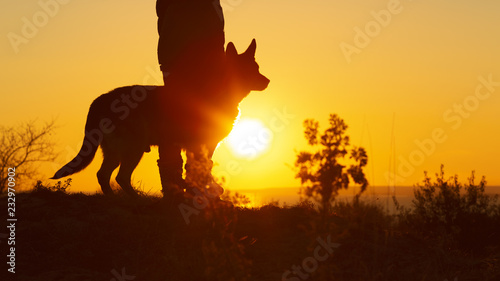silhouette of woman with German Shepherd dog standing nearby  girl walking on nature with pet enjoying landscape at sunset
