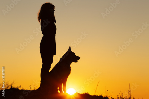 silhouette profile of young woman ang German Shepherddog looking in the distance at sunset  pet sitting near girl s leg on the field  concept of harmony human and nature