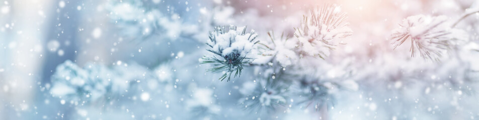 Beautiful tree in winter landscape in late evening in snowfall