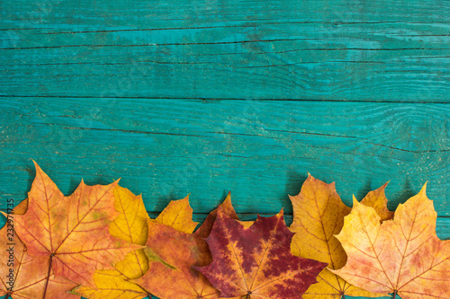 Beautiful colorful autumn leaves on wooden background