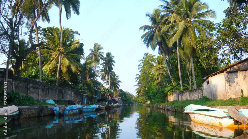 Lac de Negombo