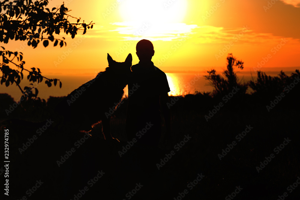Obraz premium silhouette profile of German Shepherd dog sitting nearby his owner man, boy walking on nature with pet at sunset in a field