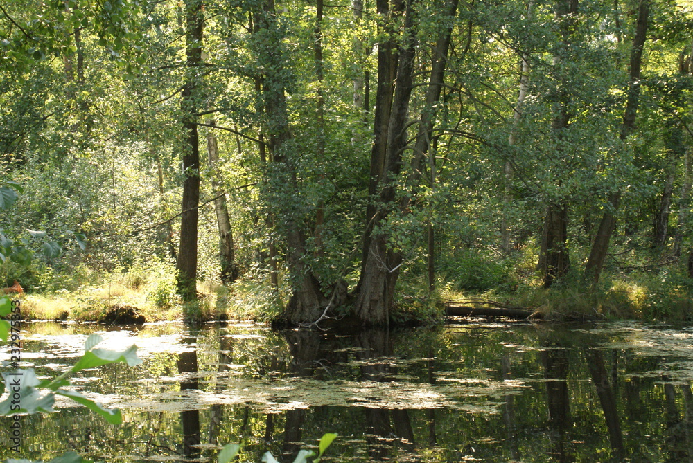 Obraz premium Widzieć