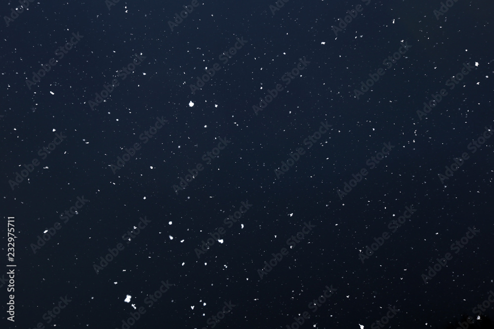 Fototapeta premium Real falling snow on a black background