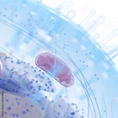 Quadro su tela 3d rendered medically accurate illustration of a human cell