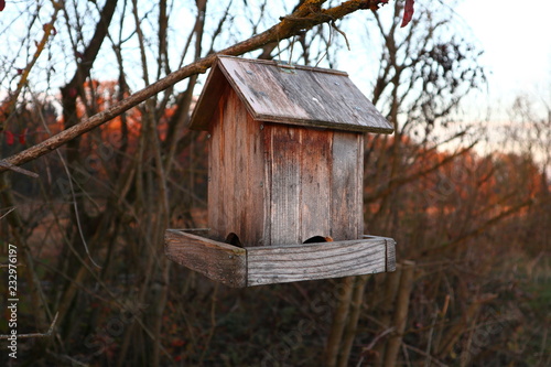 Vogelhäuschen aus Holz an einem Ast © Biewer_Jürgen