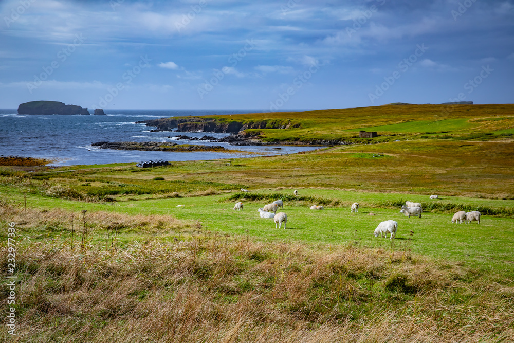 Beautiful View at Shetlands