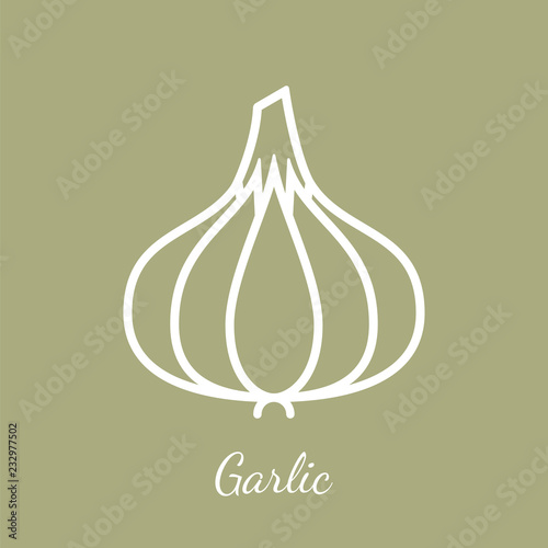 Garlic onion vector icon