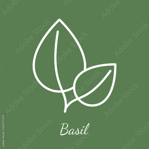 Basil leaves vector icon